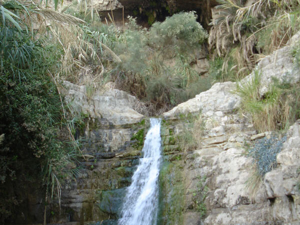 Return to Ein Gedi  